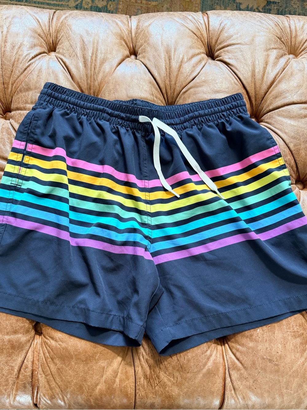 Chubbies Swim Trunks Large 5.5” Inseam Retro Rainbow Stripe Lined Board Shorts
